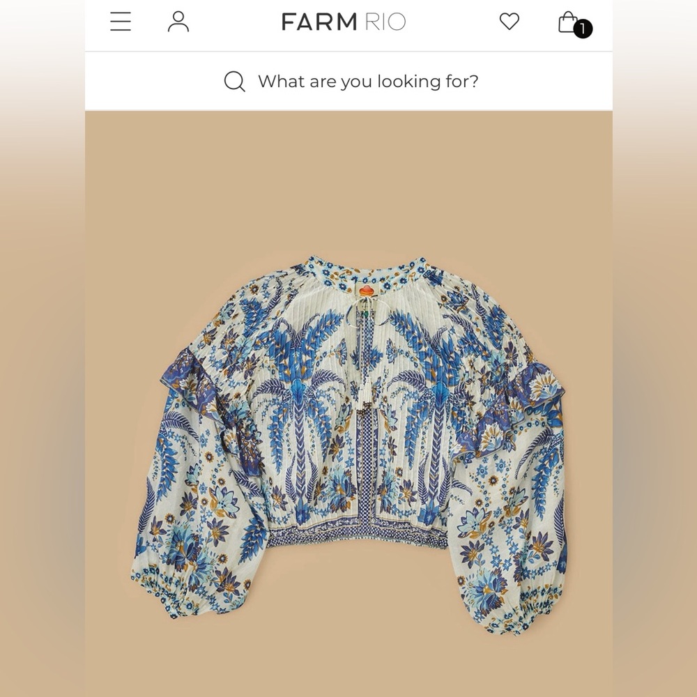 FARM Rio Blue & White Floral Embroidered Peasant Blouse